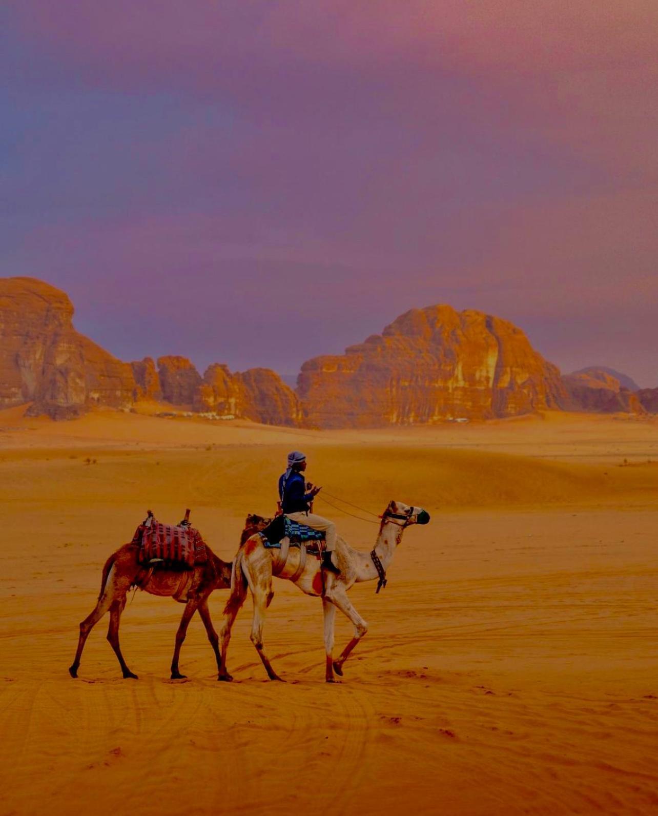 Hidden Wadi Rum Camp Eksteriør billede